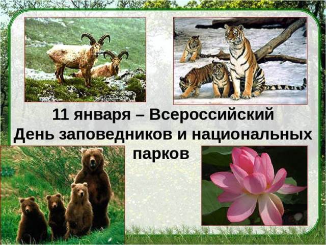 День заповедников и национальных парков в 2021: дата, всероссийский, в библиотеке15