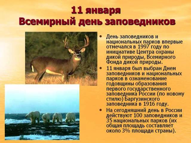 День заповедников и национальных парков в 2021: дата, всероссийский, в библиотеке18